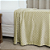 Manta Cobertor Casal Padrão e Queen Delicatta Fleece Macia 220x240cm Bolinha - Imagem 3