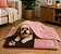 Kit Pet Inverno Pet Manta e Colchonete Soft Patinha 2 Pçs - Imagem 7