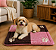 Kit Pet Inverno Pet Manta e Colchonete Soft Patinha 2 Pçs - Imagem 9