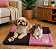 Kit Pet Inverno Pet Manta e Colchonete Soft Patinha 2 Pçs - Imagem 8