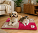 Kit Pet Inverno Pet Manta e Colchonete Soft Patinha 2 Pçs - Imagem 14