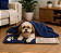 Kit Pet Inverno Pet Manta e Colchonete Soft Patinha 2 Pçs - Imagem 2