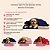 Kit Pet Inverno Pet Manta e Colchonete Soft Patinha 2 Pçs - Imagem 17