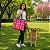 Colchonete Bolsa 2 em 1 Pet Hanna Pop Pequeno Retangular Impermeável Passeios e Viagens - Imagem 3