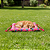 Colchonete Bolsa 2 em 1 Pet Hanna Pop Pequeno Retangular Impermeável Passeios e Viagens - Imagem 4