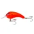 Isca Gorducha Borboleta - Imagem 1