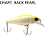 Isca Artificial Chubble SR Jackall - Imagem 2