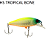 Isca Artificial Chubble SR Jackall - Imagem 4