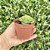 Crassula Hemisférica Pote 9 - Imagem 2