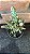 Cacto Opuntia Monacantha variegata pote 9 - Imagem 2