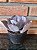 Echeveria Monalisa pote 11 - Imagem 3