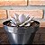 Graptoveria Debbie Pote 11 - Imagem 3