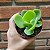 Echeveria Pálida (palida) Pote 11 - Imagem 2