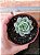 Echeveria Ben Badis pote 9 - Imagem 2