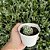 Echeveria Cute Bean Pote 9 - Imagem 2