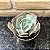 Echeveria Gibbiflora Queen Dinny Pote 11 - Imagem 1