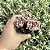 Graptosedum Adria Bubbaloo Pote 9 - Imagem 3