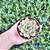 Echeveria Agav. Honey Pink Pote 9 - Imagem 1