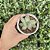 Echeveria Agavoides Casio  Pote 9 - Imagem 2
