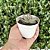 Echeveria Agavoides Casio  Pote 9 - Imagem 4