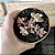 Sedum Bronze Pote 11 - Imagem 1