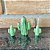 Miniatura Para Terrário Cactos - Imagem 1