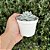 Echeveria Canadian - Pote 9 - Imagem 3