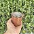 Echeveria Beyonce - Pote 9 - Imagem 2