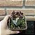Cacto Echinopsis Cv. Chocolate Monstrose enxertado pote 11 - Imagem 3