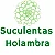 Pedido Personalizado 5 Suculentas - Imagem 1