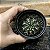 Gymnocalycium Mesopotamicum Pote 9 - Imagem 3
