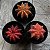 Kit 3 Cactos Gymnocalycium Mihanovichii Variegata Pote 9 - Imagem 6
