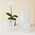 Kit 20 Vasos Transparente Orquídea Pote 15 REFORÇADO – Cultivo Profissional - Imagem 4