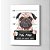 Quadro Decorativo Pug Mau - Imagem 5