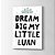 Quadro Infantil Dream Big My Little com Nome Personalizado - Imagem 4