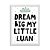 Quadro Infantil Dream Big My Little com Nome Personalizado - Imagem 3
