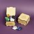 Kit Cristais Para Iniciante (Saude, Amor, Proteção, Calma, Prosperidade, Sabedoria, Conexão Espiritual) - Imagem 3