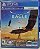 Eagle Flight VR - PS4 (Mídia Física) - USADO - Imagem 1