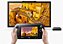 Captain Toad Treasure Tracker - WII U (Midia Fisica) - USADO - Imagem 4