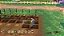 Story Of Seasons A Wonderful Life - PS5 (Mídia Física) - Novo, Lacrado - Imagem 2