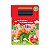 Kit De Pintura Pequeno Artista Dinossauros Brasileitura - Imagem 1