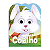 Livro Olha Quem Sou! Coelho Todo Livro - Imagem 1