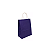Kit com 10 sacolas para presente 21x15x8cm - Imagem 1