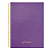 Caderno Espiral Capa Dura Colegial 10Mat/160fls Glimmer Animativa - Imagem 1