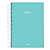 Caderno Espiral Capa dura 1/4 10Mat/160fls Stilo Jandaia - Imagem 2