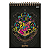 Caderno Esp Capa dura 1/4 Harry Potter 80 folhas Jandaia - Imagem 1