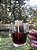 Drip Coffee Gourmet - Imagem 2