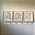 Quadro Decorativo Jardim Bem-Te-Vi - Imagem 3