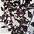 Gynura aurantiaca - Veludo roxo - Imagem 1