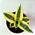 Sansevieria Golden - Sansevieria hahnii - Imagem 1